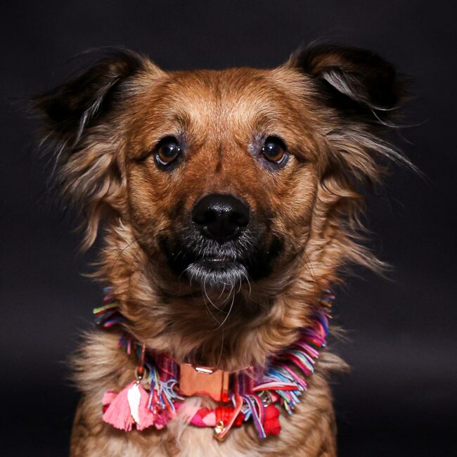 Ergotherapie - Behandlungsbereiche - Datenschutz der Praxis für Ergo- & Lerntherapie Loeks & Mohnberg GbR in Senden und Werne.